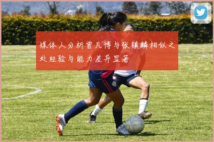 媒体人分析曾凡博与张镇麟相似之处经验与能力差异显著